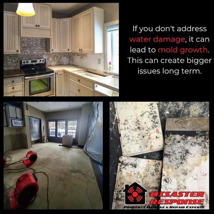 Images Disaster Response