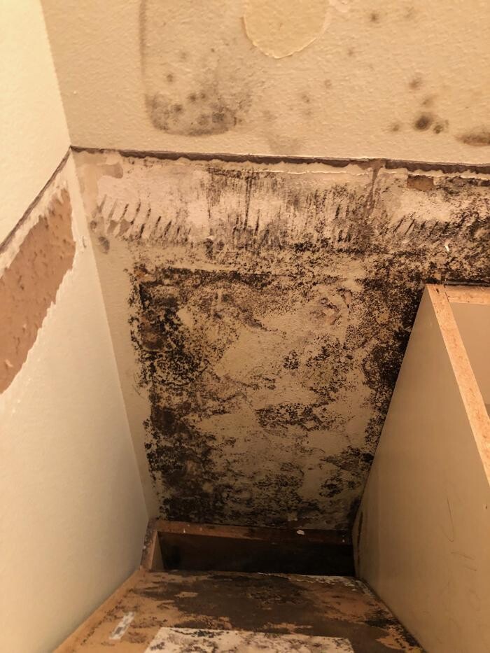 Images Disaster Response