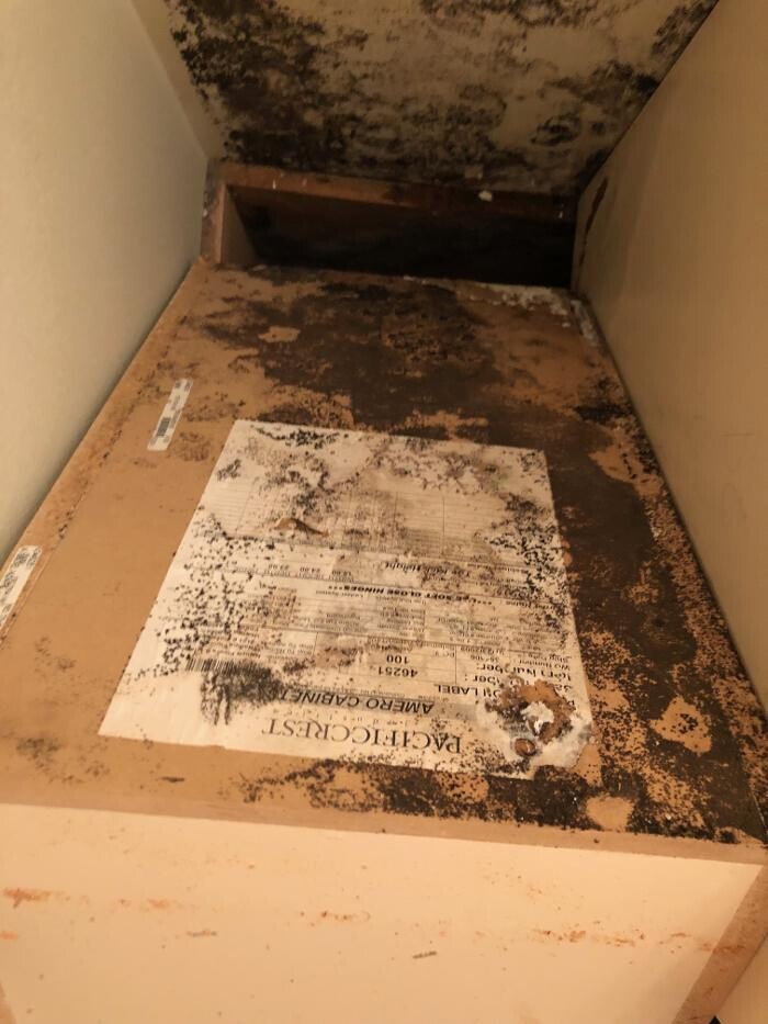 Images Disaster Response