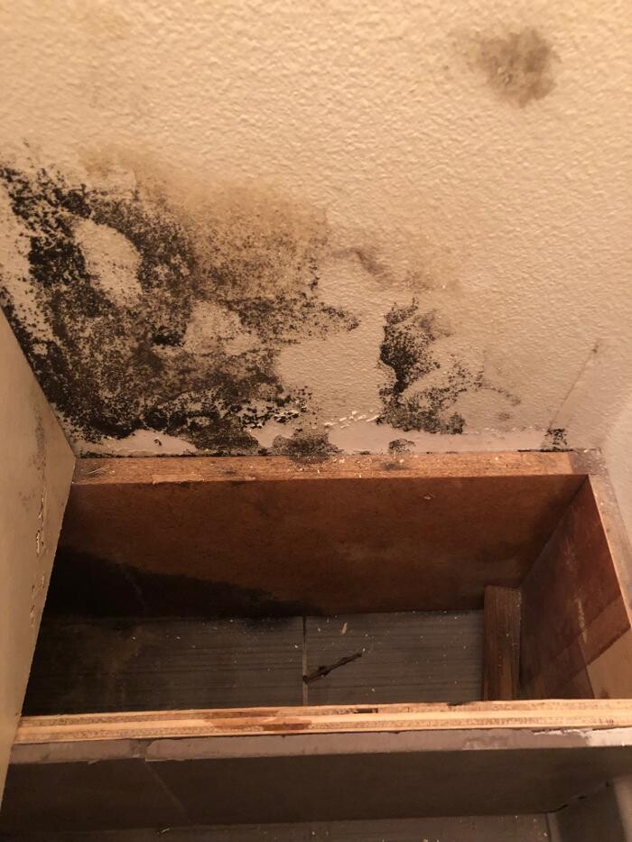 Images Disaster Response