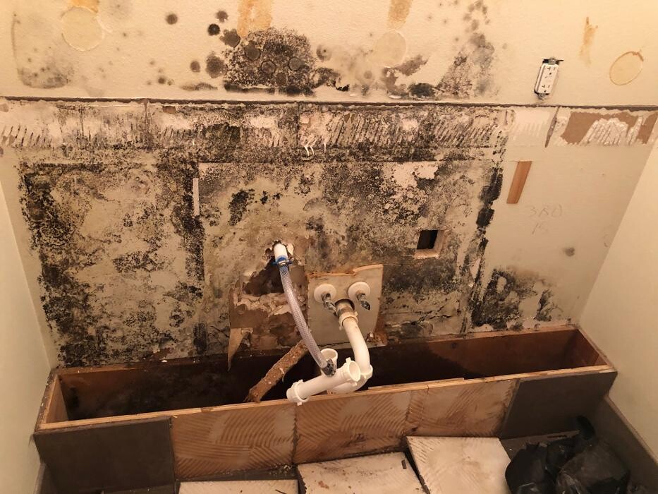 Images Disaster Response