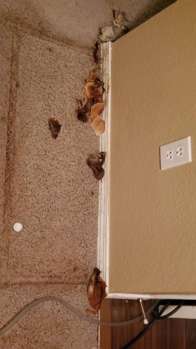 Images Disaster Response