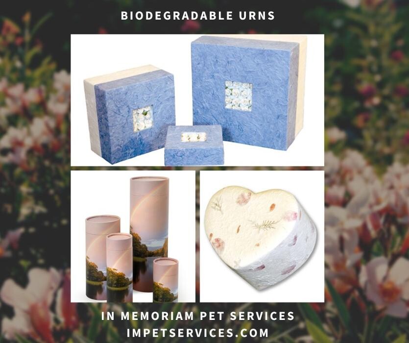 Images In Memoriam Pet Services
