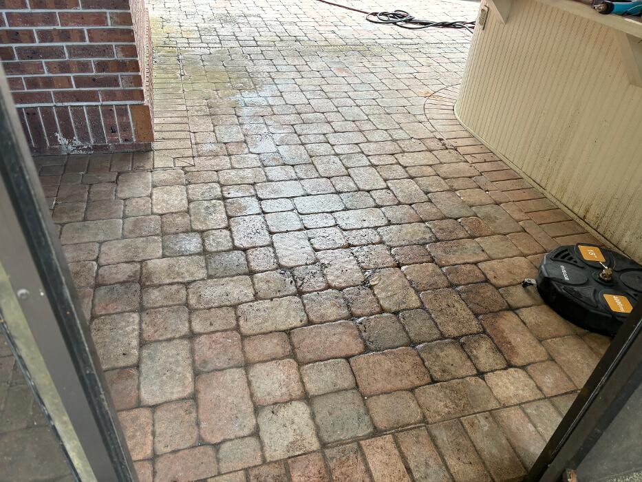Images Hibiscus Pressure Washing