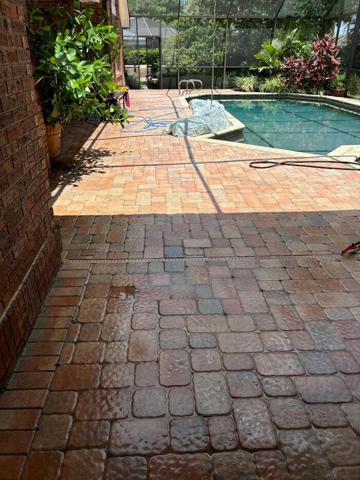 Images Hibiscus Pressure Washing