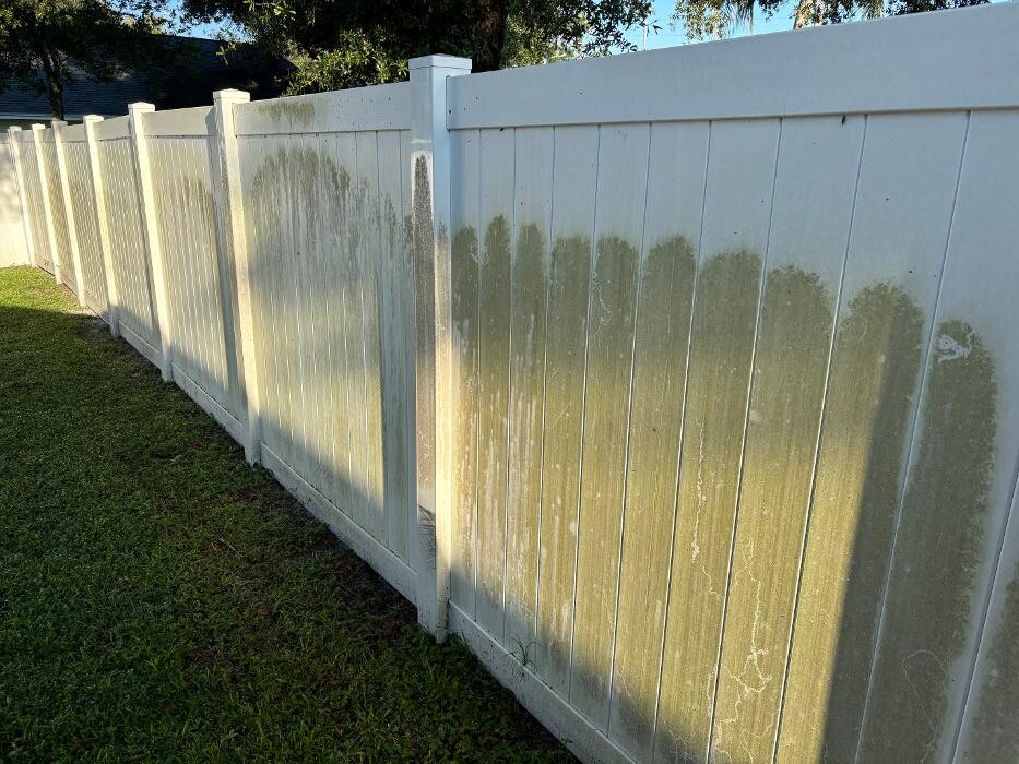 Images Hibiscus Pressure Washing