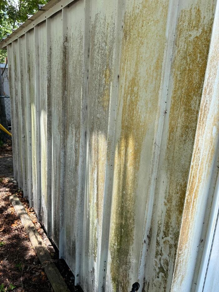 Images Hibiscus Pressure Washing