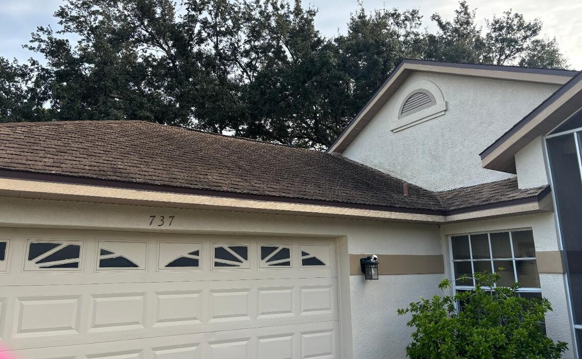 Images Hibiscus Pressure Washing