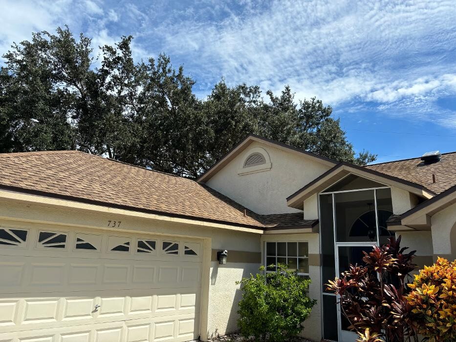 Images Hibiscus Pressure Washing