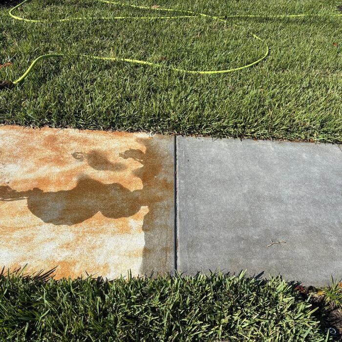 Images Hibiscus Pressure Washing