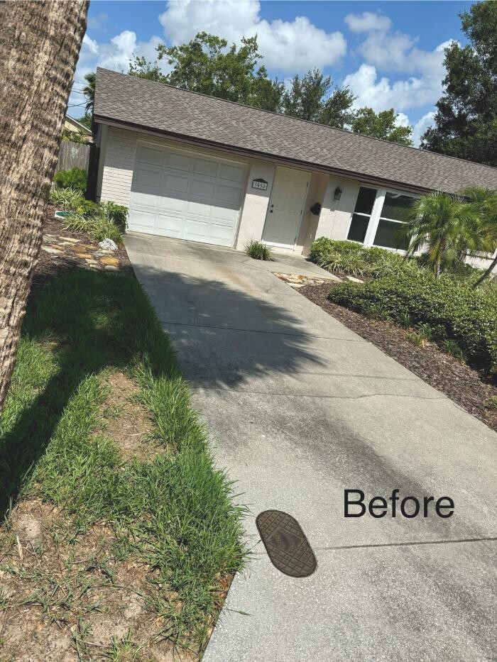 Images Hibiscus Pressure Washing