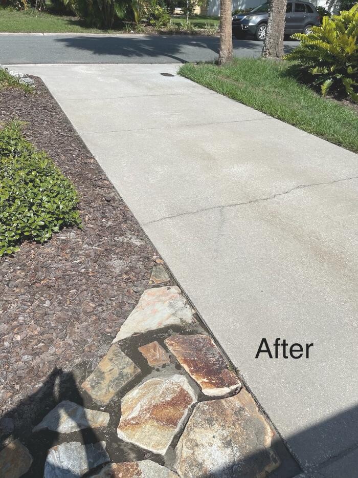 Images Hibiscus Pressure Washing