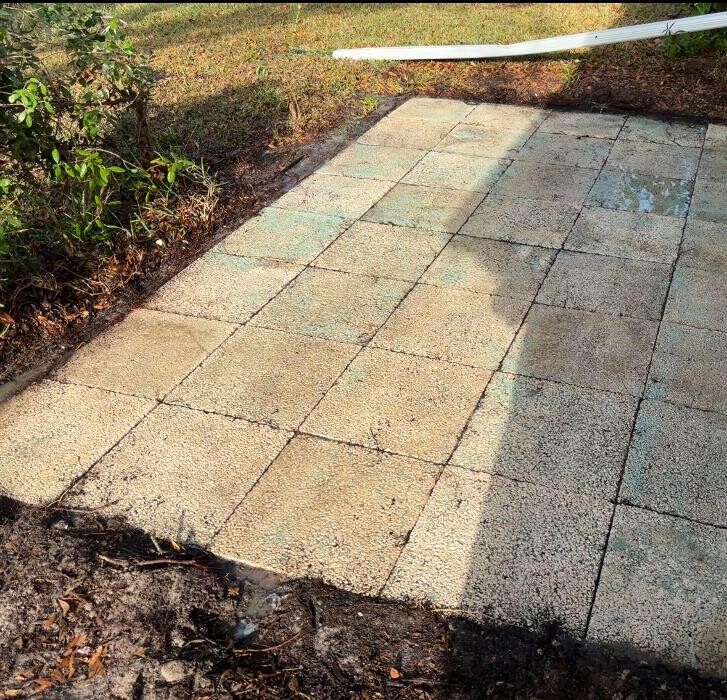 Images Hibiscus Pressure Washing