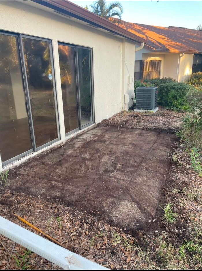 Images Hibiscus Pressure Washing