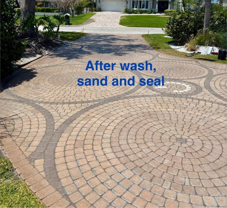 Images Hibiscus Pressure Washing
