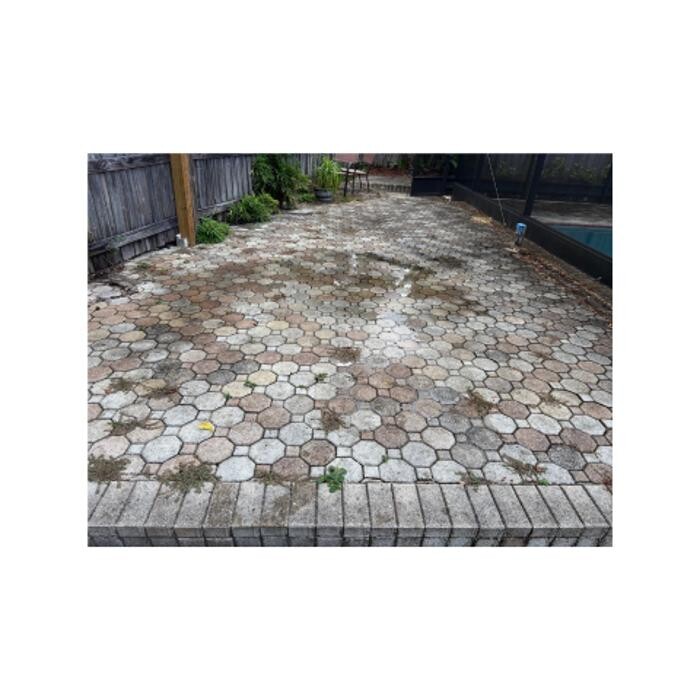 Images Hibiscus Pressure Washing