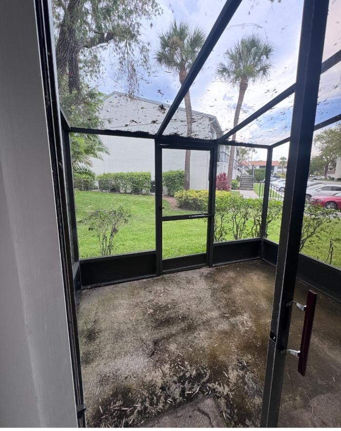Images Hibiscus Pressure Washing