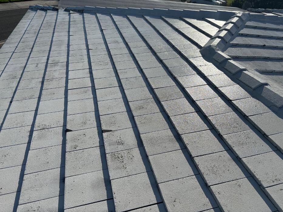 Images Hibiscus Pressure Washing