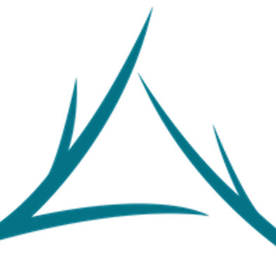 Mary Hutchinson at Twin Tree Mortgage, LLC | NMLS# 1455894 Logo