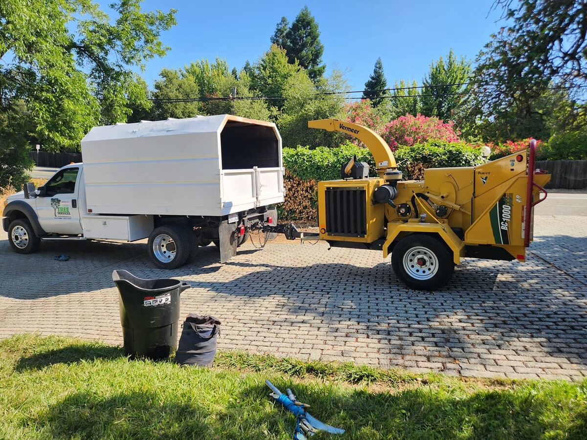 Images Sky Crew Tree Service