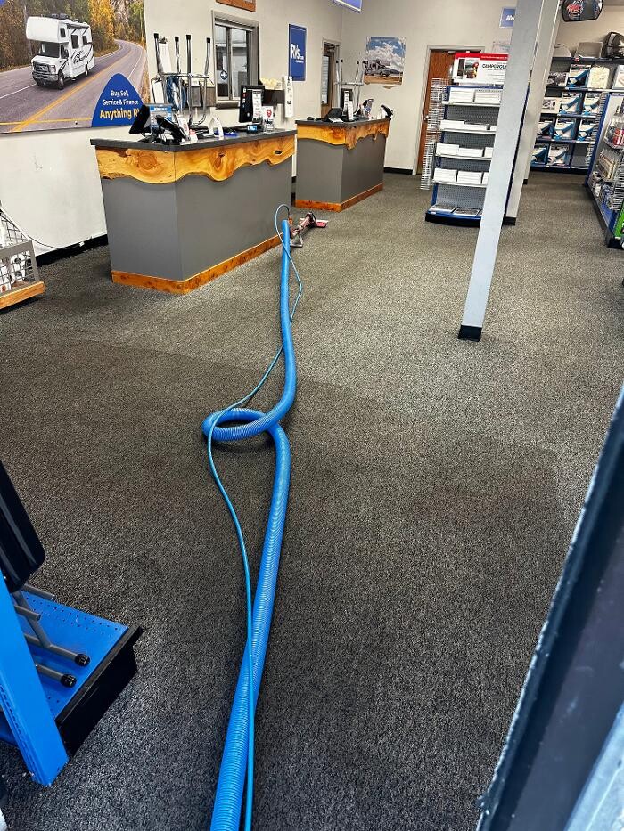 Images All American Carpet Cleaning