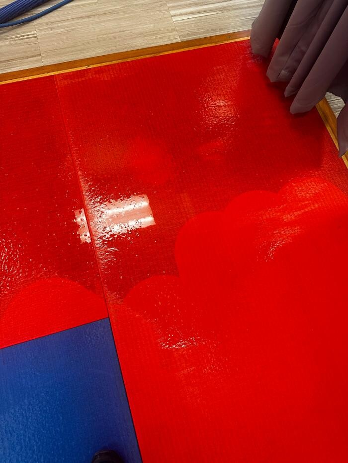 Images All American Carpet Cleaning