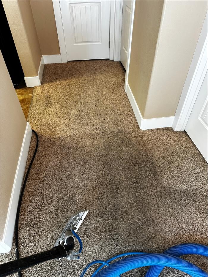 Images All American Carpet Cleaning