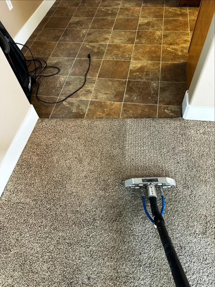 Images All American Carpet Cleaning