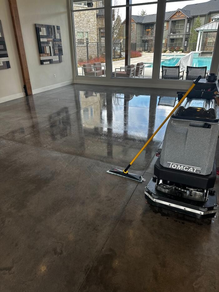 Images All American Carpet Cleaning