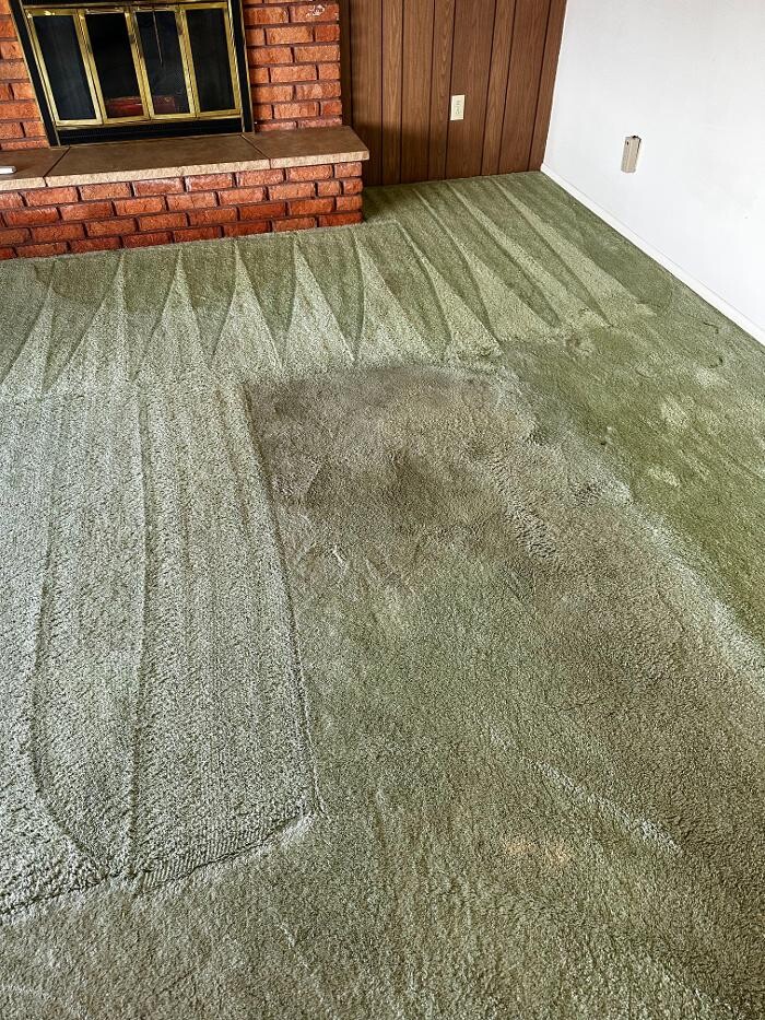 Images All American Carpet Cleaning
