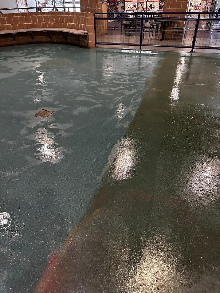 Images All American Carpet Cleaning