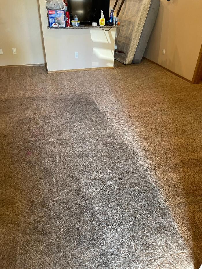 Images All American Carpet Cleaning
