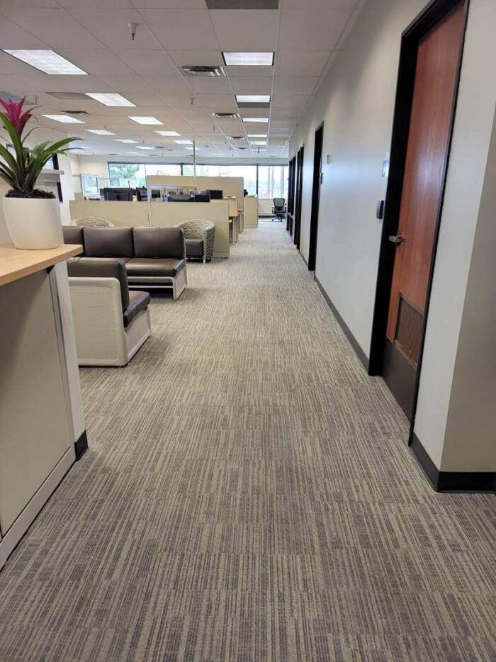 Images All American Carpet Cleaning