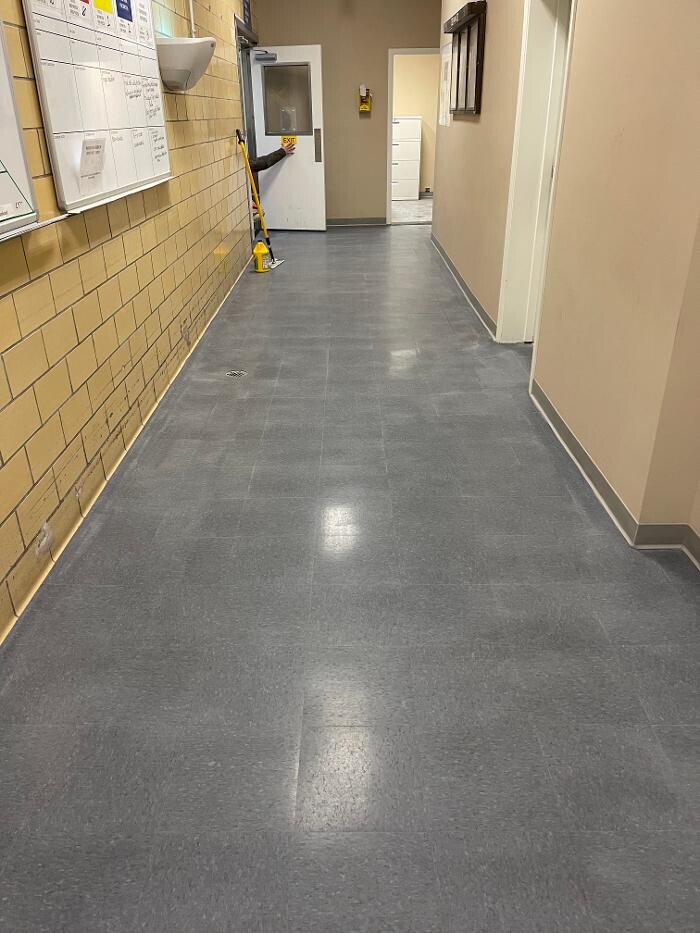 Images All American Carpet Cleaning