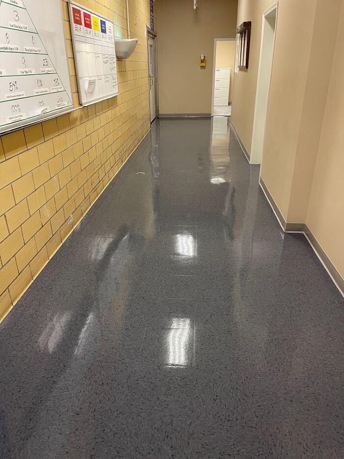 Images All American Carpet Cleaning