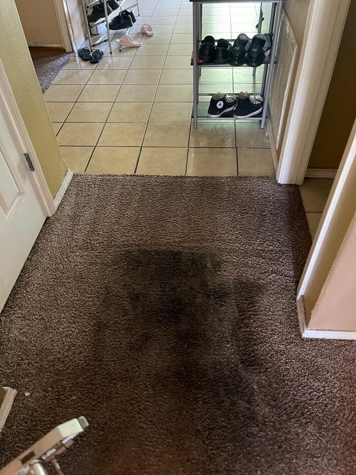 Images All American Carpet Cleaning