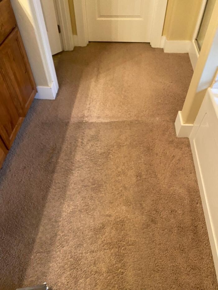 Images All American Carpet Cleaning