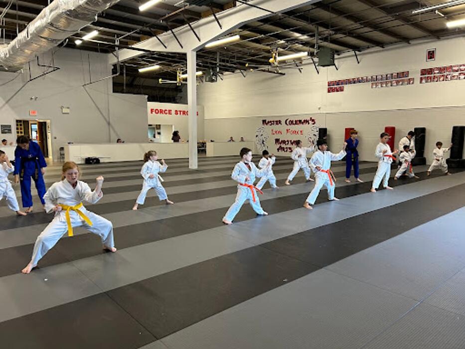 Images Master Coleman's Lion Force Martial Arts