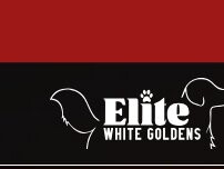 Website Screenshot Elite White Goldens