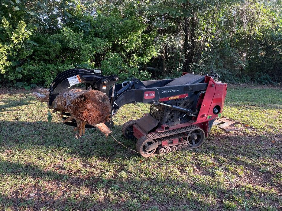 Images A.L.B.O.E. Services, LLC.