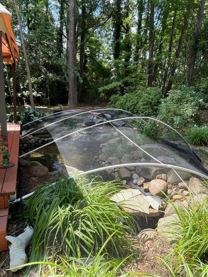 Images A.L.B.O.E. Services, LLC.