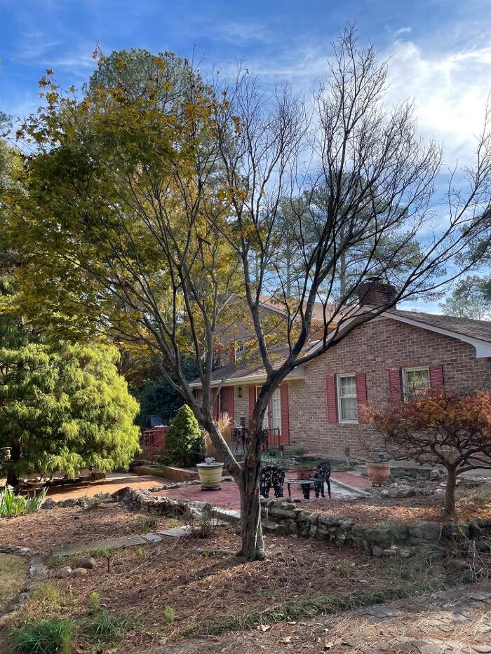 Images A.L.B.O.E. Services, LLC.