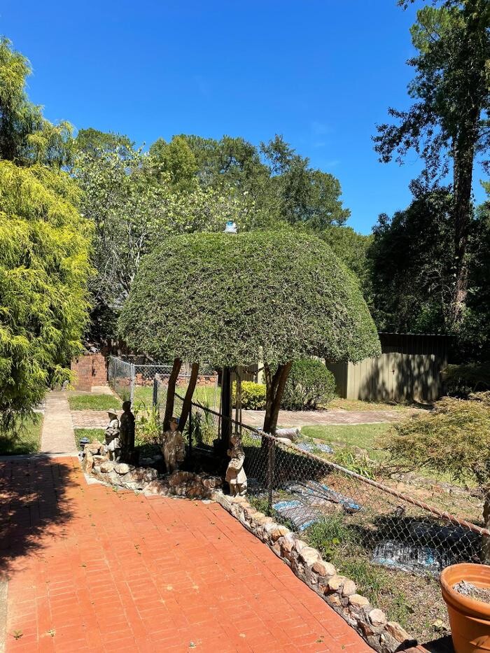 Images A.L.B.O.E. Services, LLC.