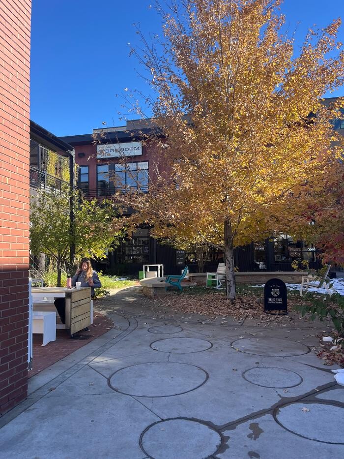 Images Snow Leopard Barbershop - Denver