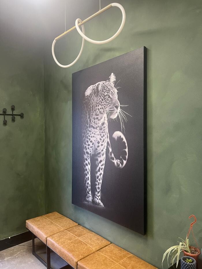 Images Snow Leopard Barbershop - Denver