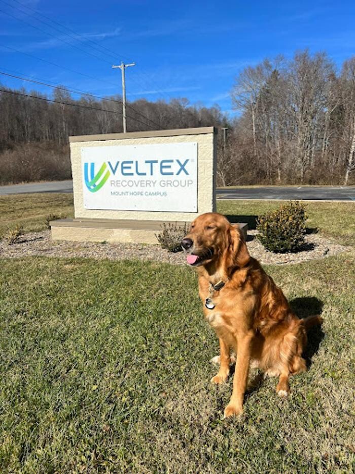 Images Veltex Recovery Group