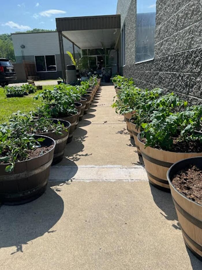 Images Veltex Recovery Group