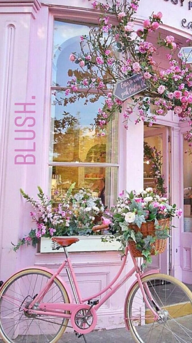 Images Blush Med Spa