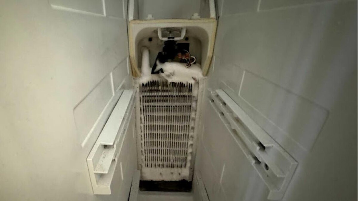Images APPLIANCE REPAIR TEODOR IN ST. PETERSBURG
