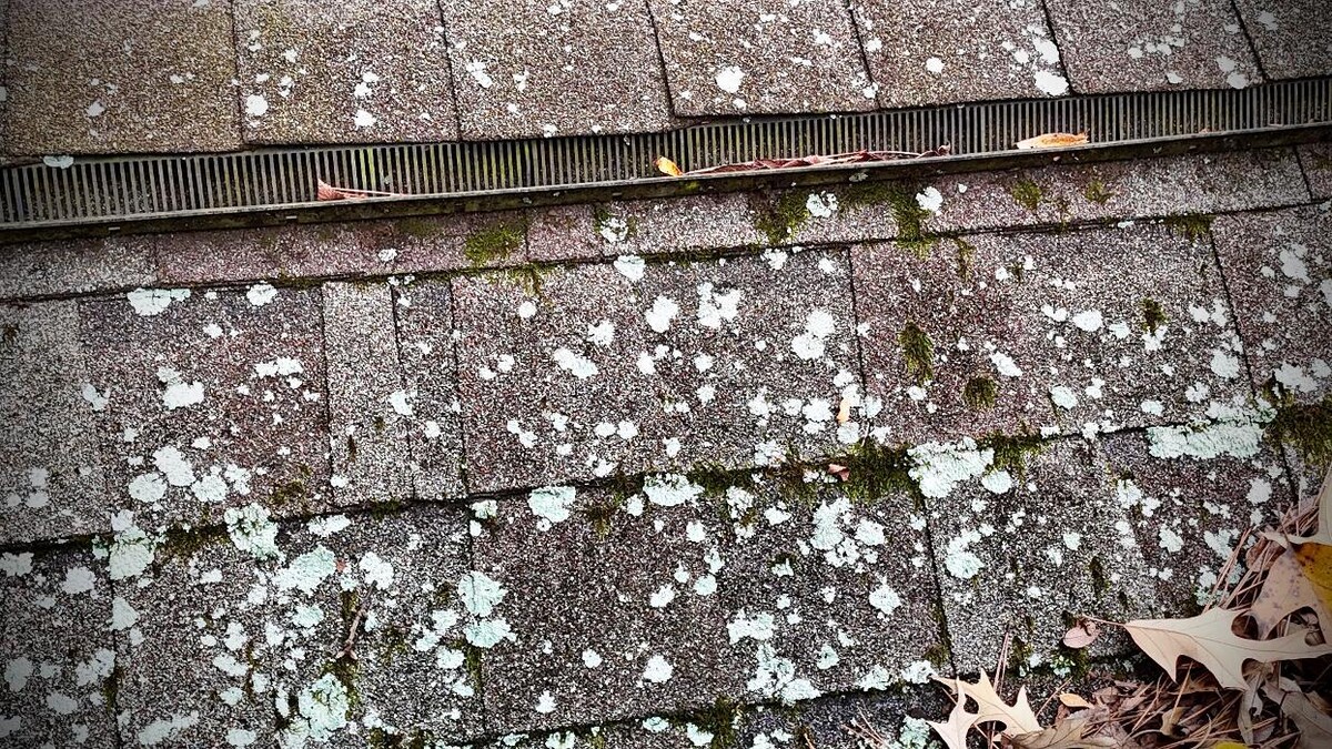 Images Luxe Roof Co.